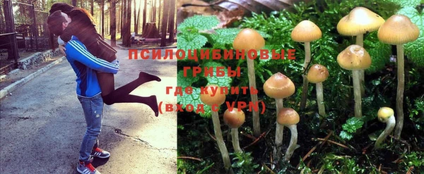 хмурый Протвино