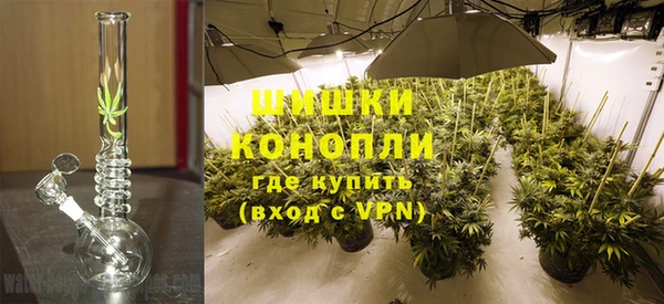 мяу мяу мука Пролетарск