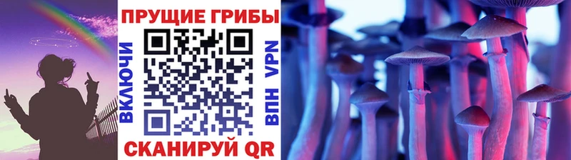 где продают наркотики  Пролетарск  Галлюциногенные грибы GOLDEN TEACHER 